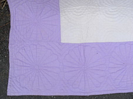 purple_and_cream_res_5